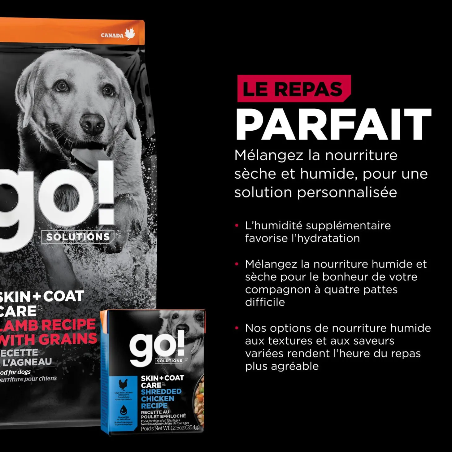 Skin + Coat Care Lamb Recipe with Grains for Dogs, 9.98 kg