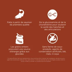 Skin + Coat Care Large Breed Salmon Recipe for Dogs, 5.44 kg