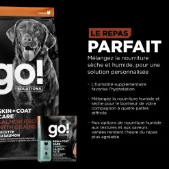 Skin + Coat Care Large Breed Salmon Recipe for Dogs, 11.34 kg