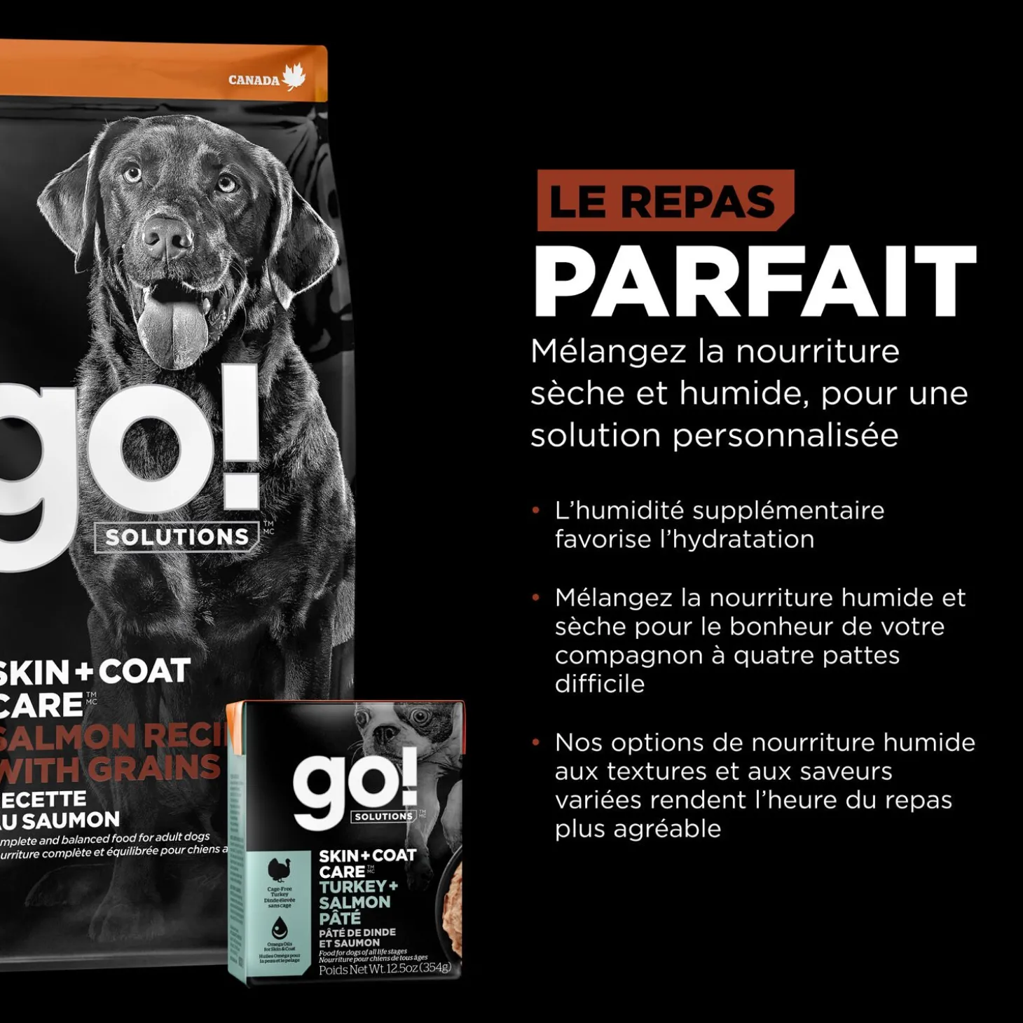 Skin + Coat Care Large Breed Salmon Recipe for Dogs, 11.34 kg