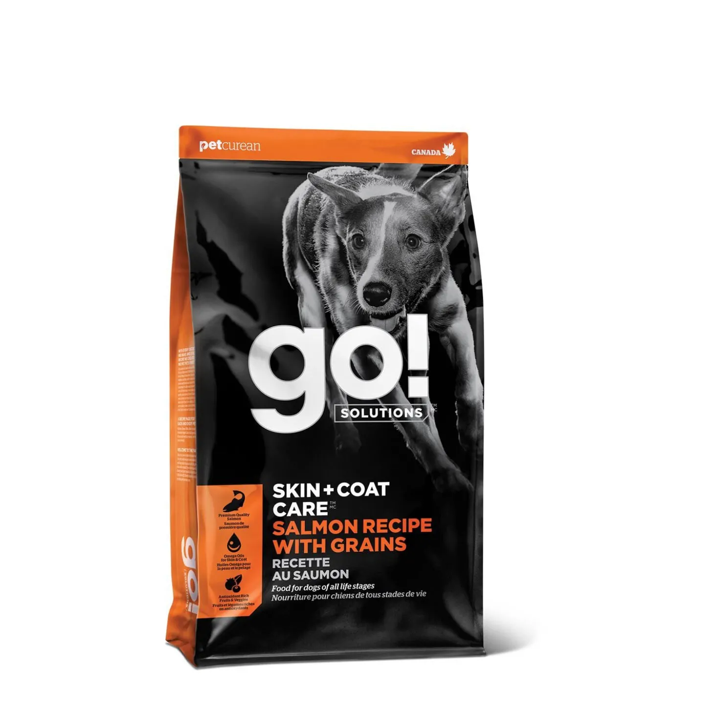 Skin + Coat Care Salmon and Grains Recipe for Dogs, 5.44 kg