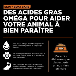 Skin + Coat Care Salmon and Grains Recipe for Dogs, 5.44 kg