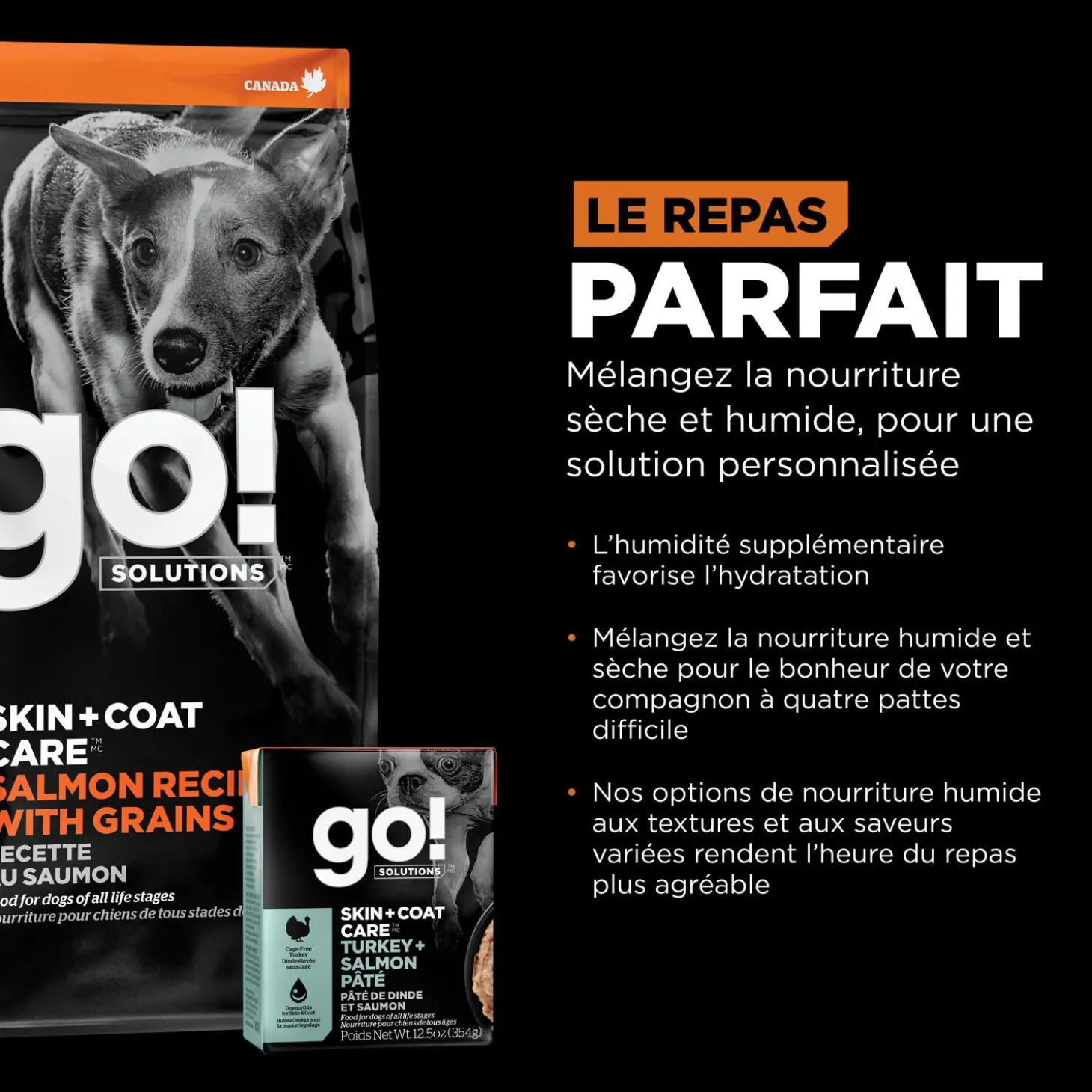 Skin + Coat Care Salmon and Grains Recipe for Dogs, 5.44 kg