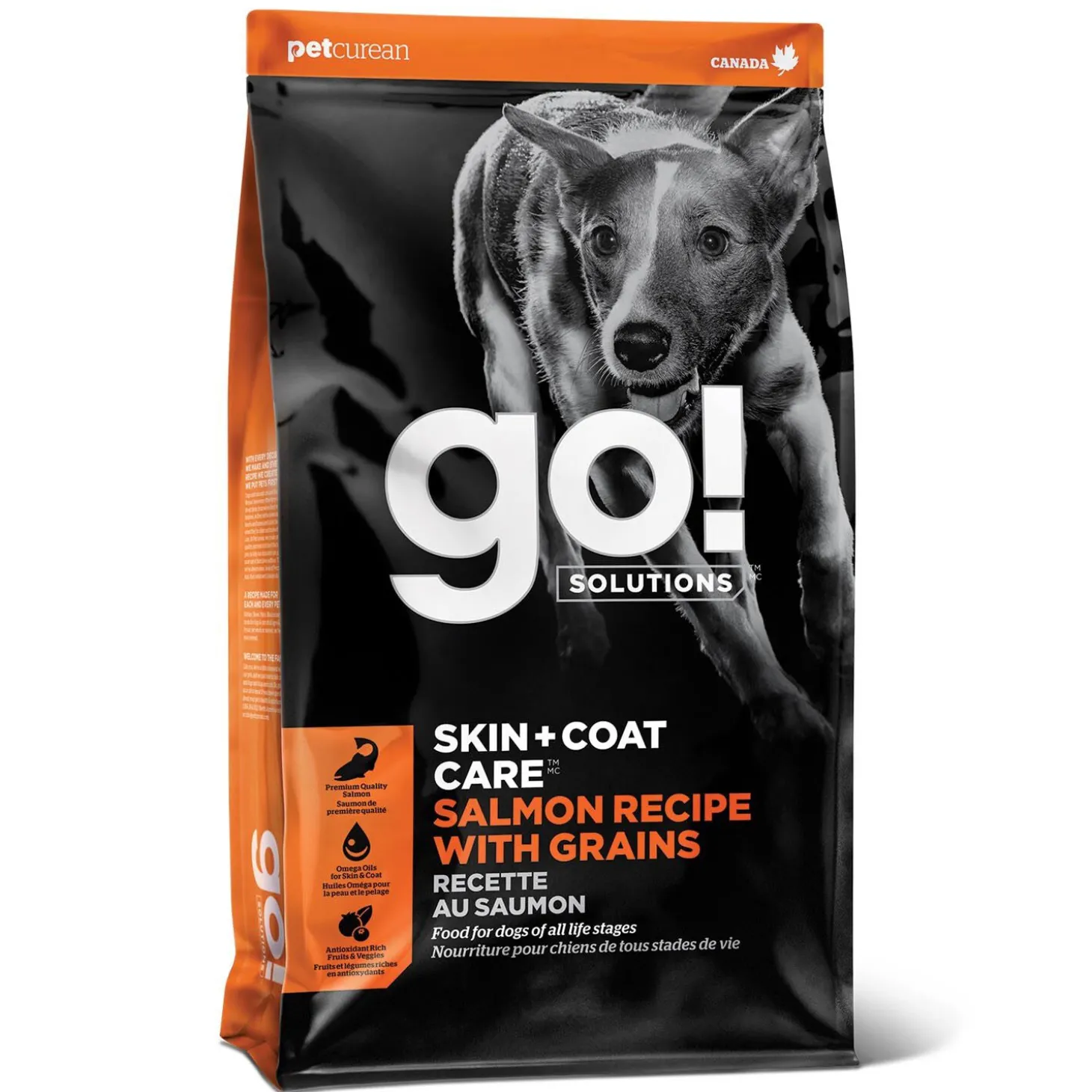 Skin + Coat Care Salmon Recipe with Grains for Dogs, 9.98 kg