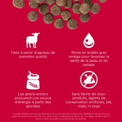 Skin + Coat Care Salmon Recipe with Grains for Dogs, 9.98 kg