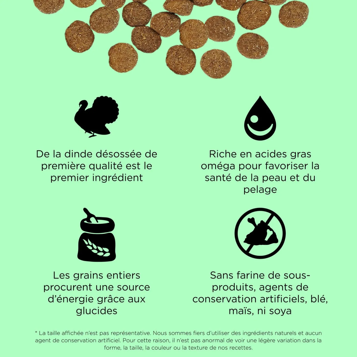Skin + Coat Care Turkey and Grains Recipe for Dogs, 1.59 kg