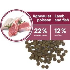 Skin and Coat Formula for Senior Dog all Breeds, Lamb and Fish, 11kg