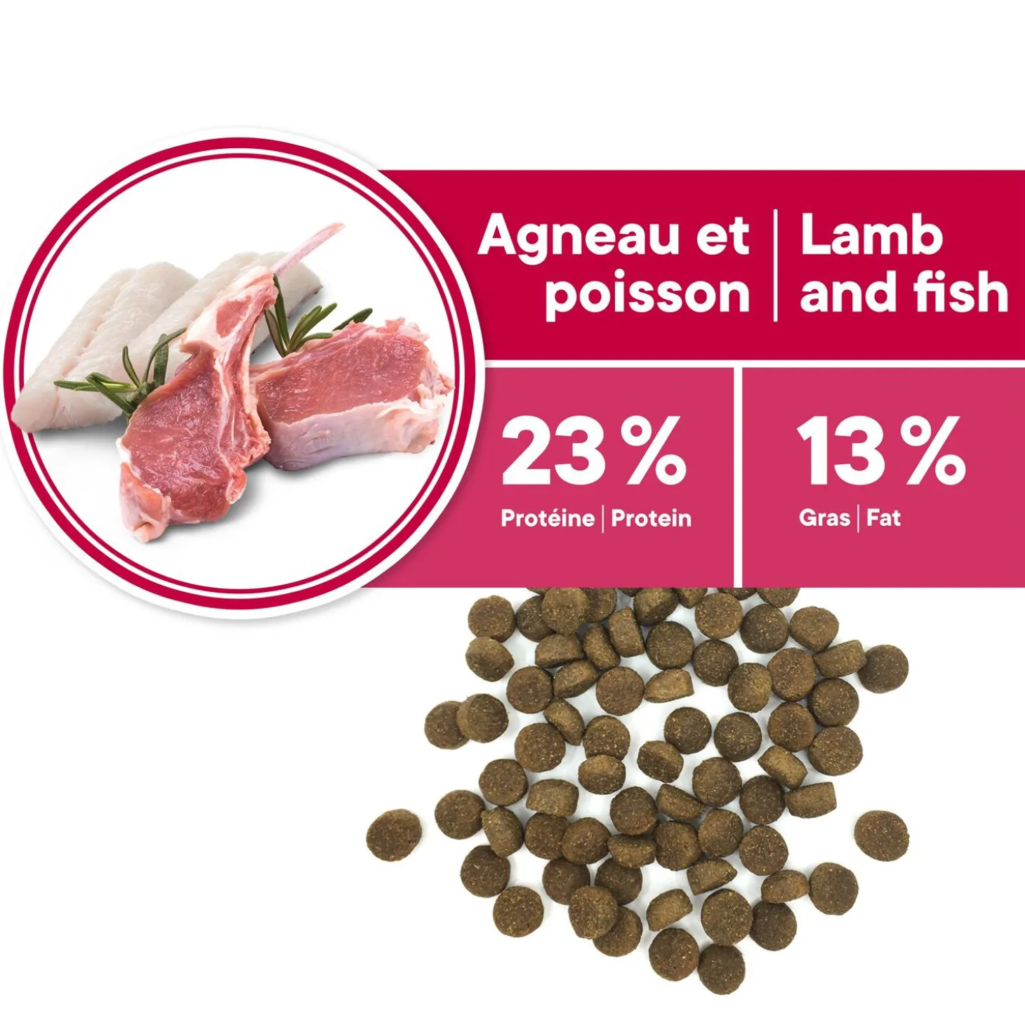 Skin and Coat Formula for Adult Dog Medium and Large Breeds, Lamb and Fish, 5kg