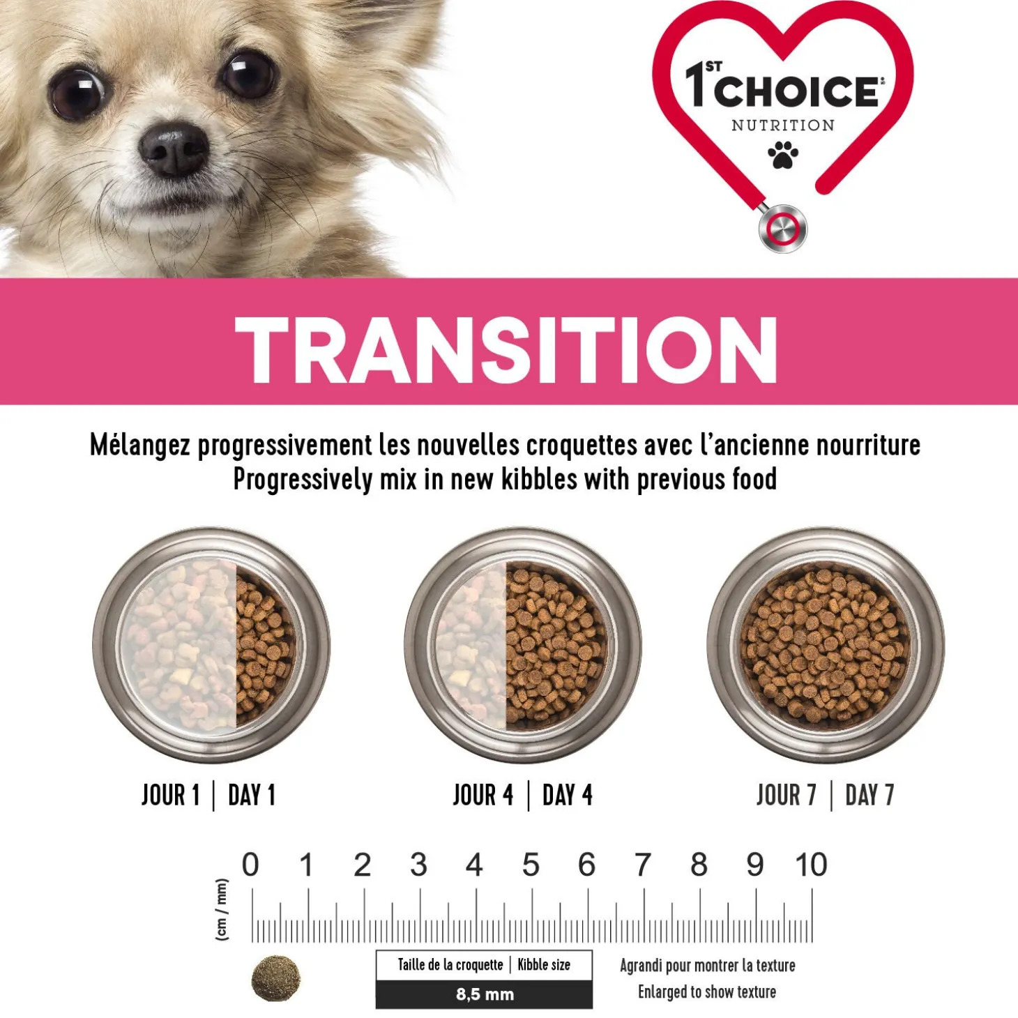 Skin and Coat Formula for Adult Dog Miniature and Small Breeds, Lamb and Fish, 5kg