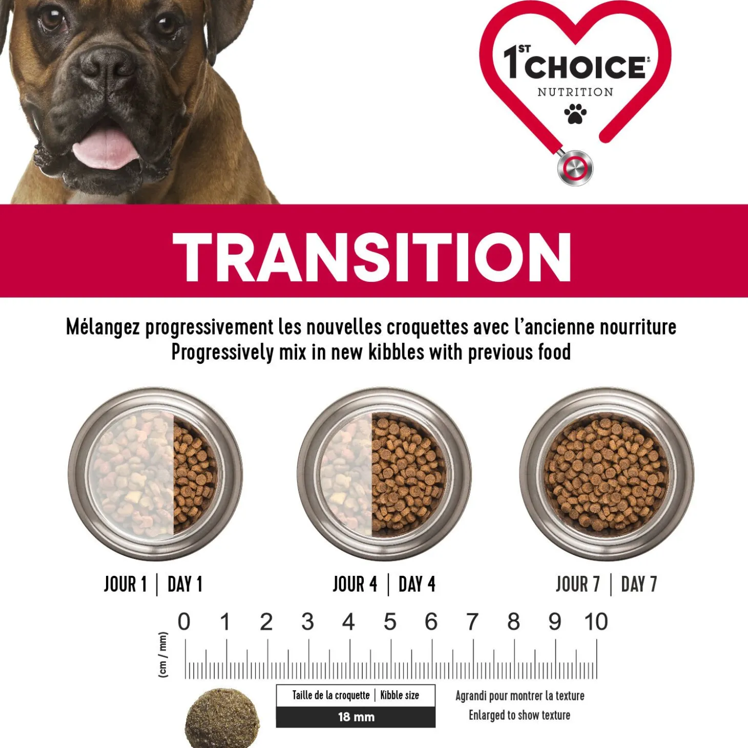 Skin and Coat Formula for Adult Dog Medium and Large Breeds, Lamb and Fish, 11kg