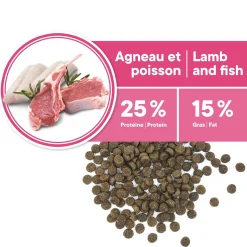 Skin and Coat Formula for Adult Dog Miniature and Small Breeds, Lamb and Fish, 2kg