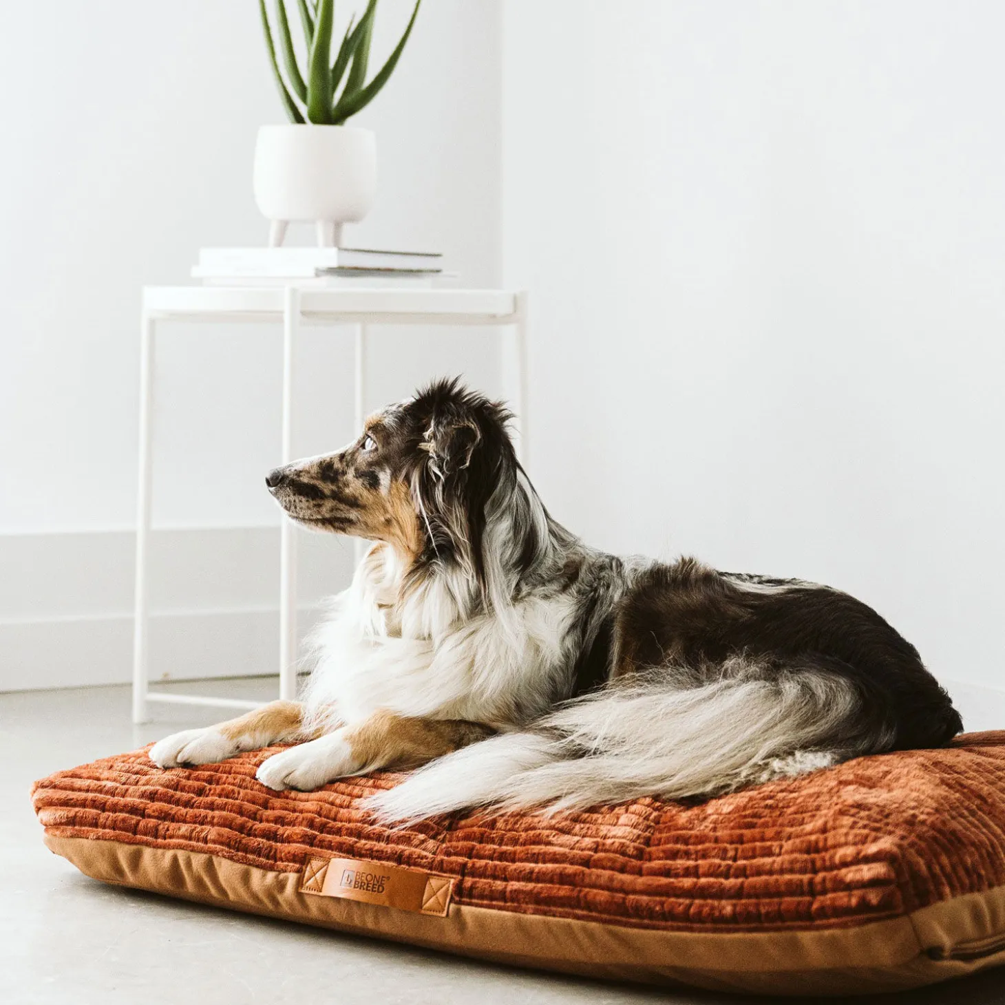 Sky and Diamond Reversible Bed Cover, Rust