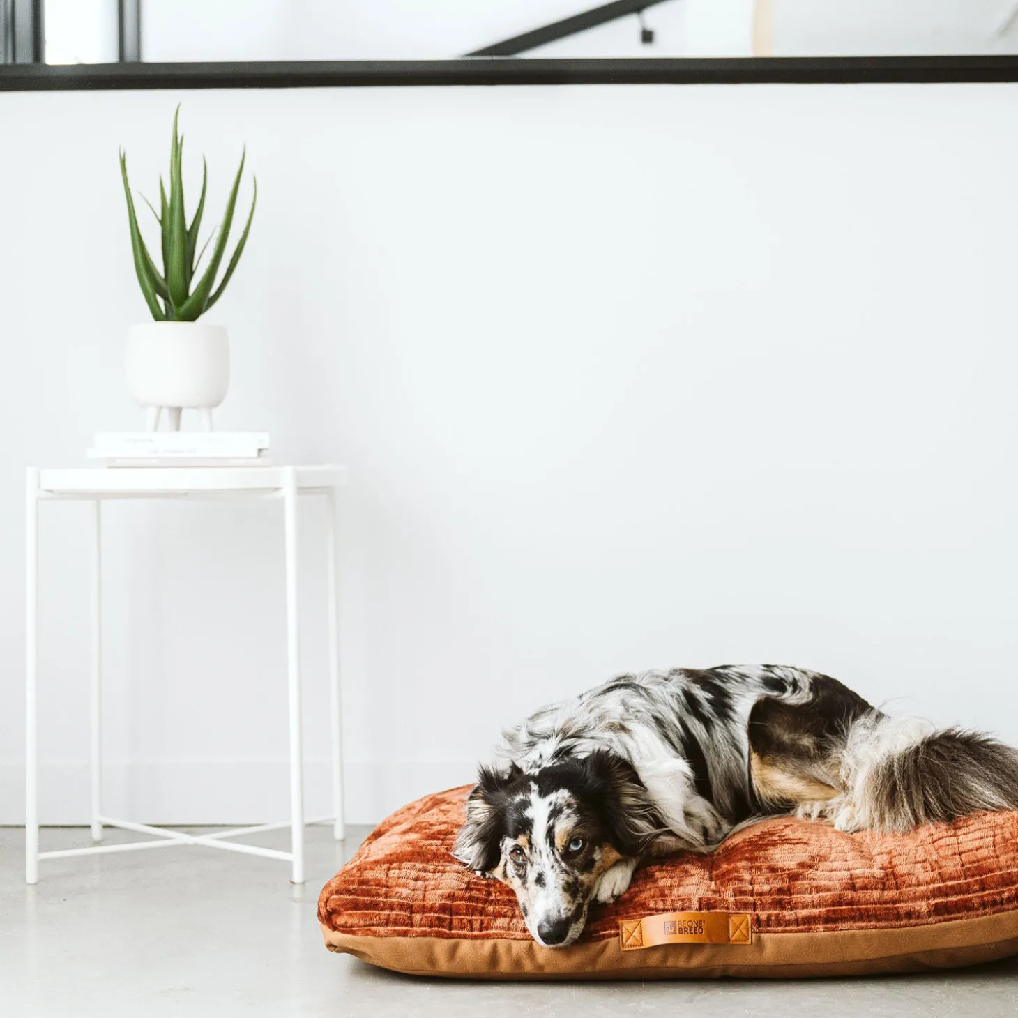 Sky and Diamond Reversible Bed Cover, Rust