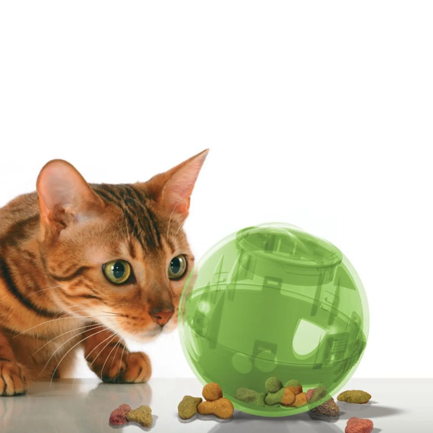 Slimcat Food and Treat Dispensing Ball
