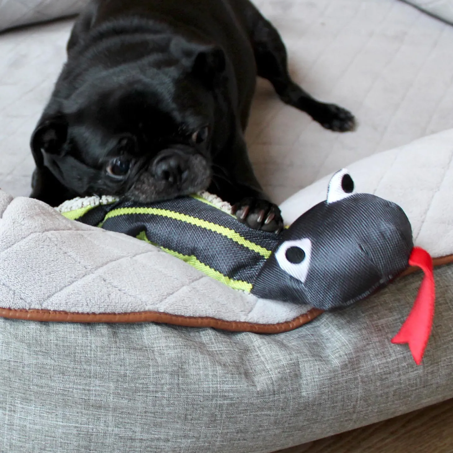 Snake Toy for Dogs