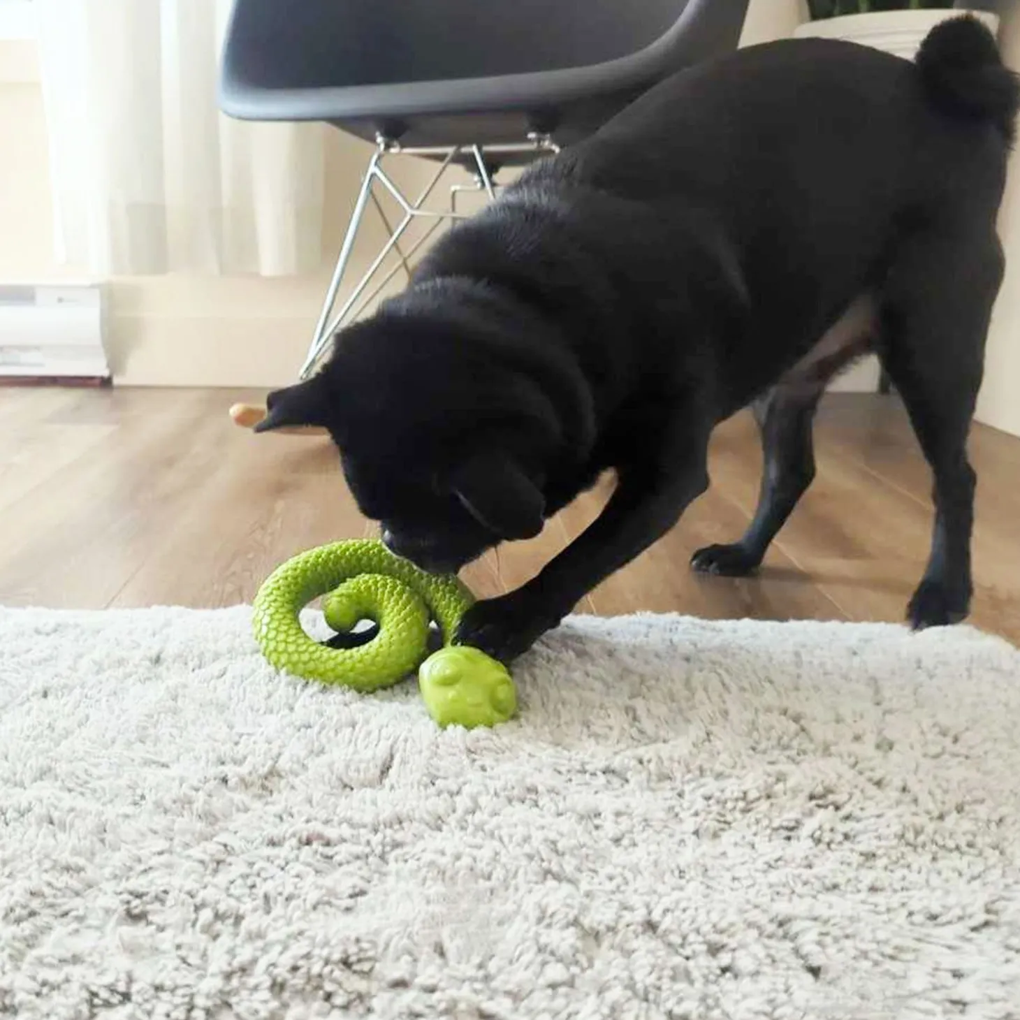Snake Treat DispenserToy for Dogs