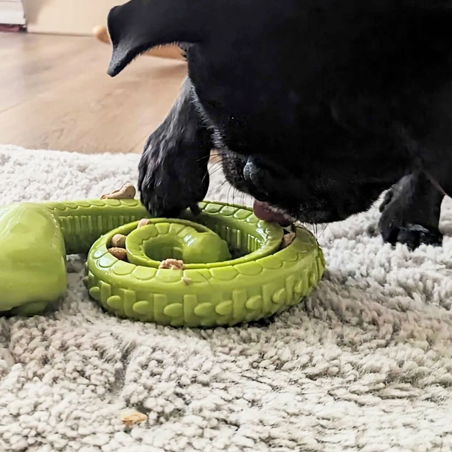 Snake Treat DispenserToy for Dogs