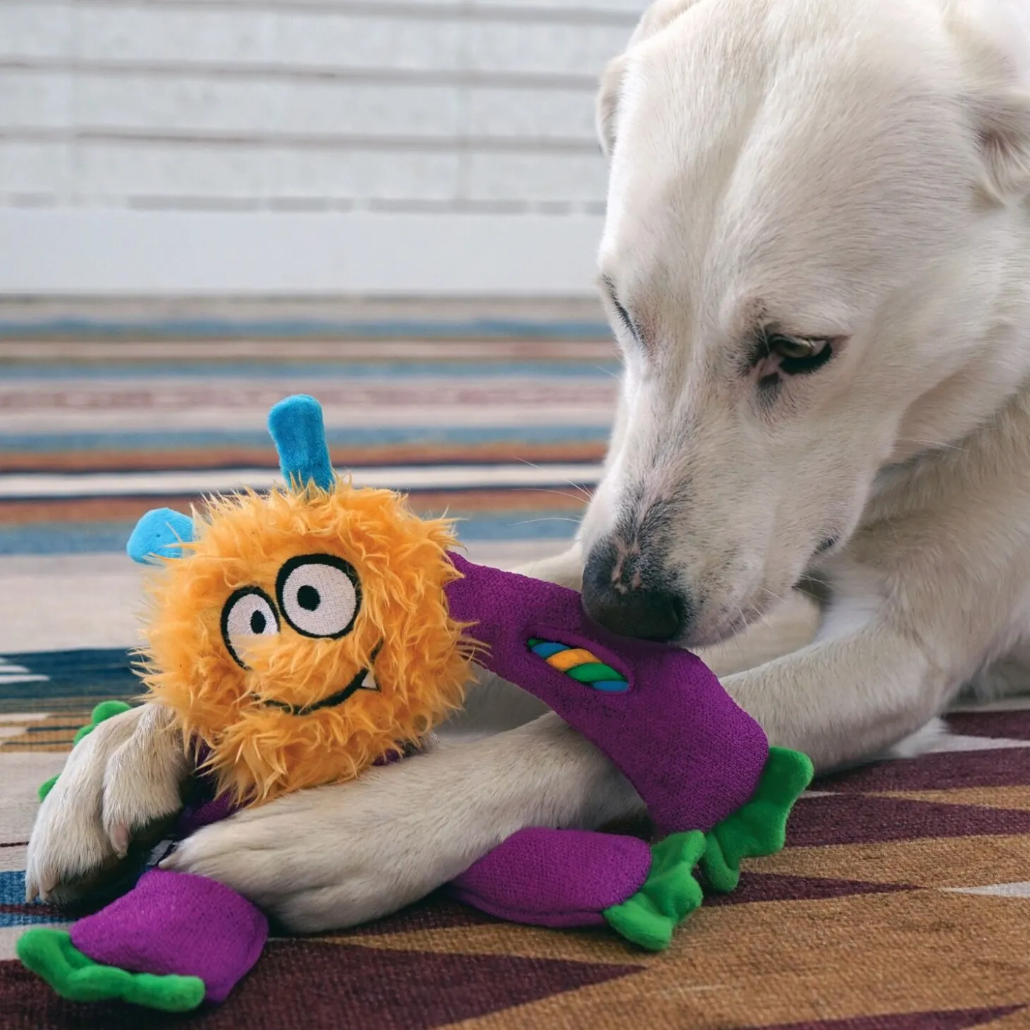 Sneakerz Knots dog toy, assorted colours
