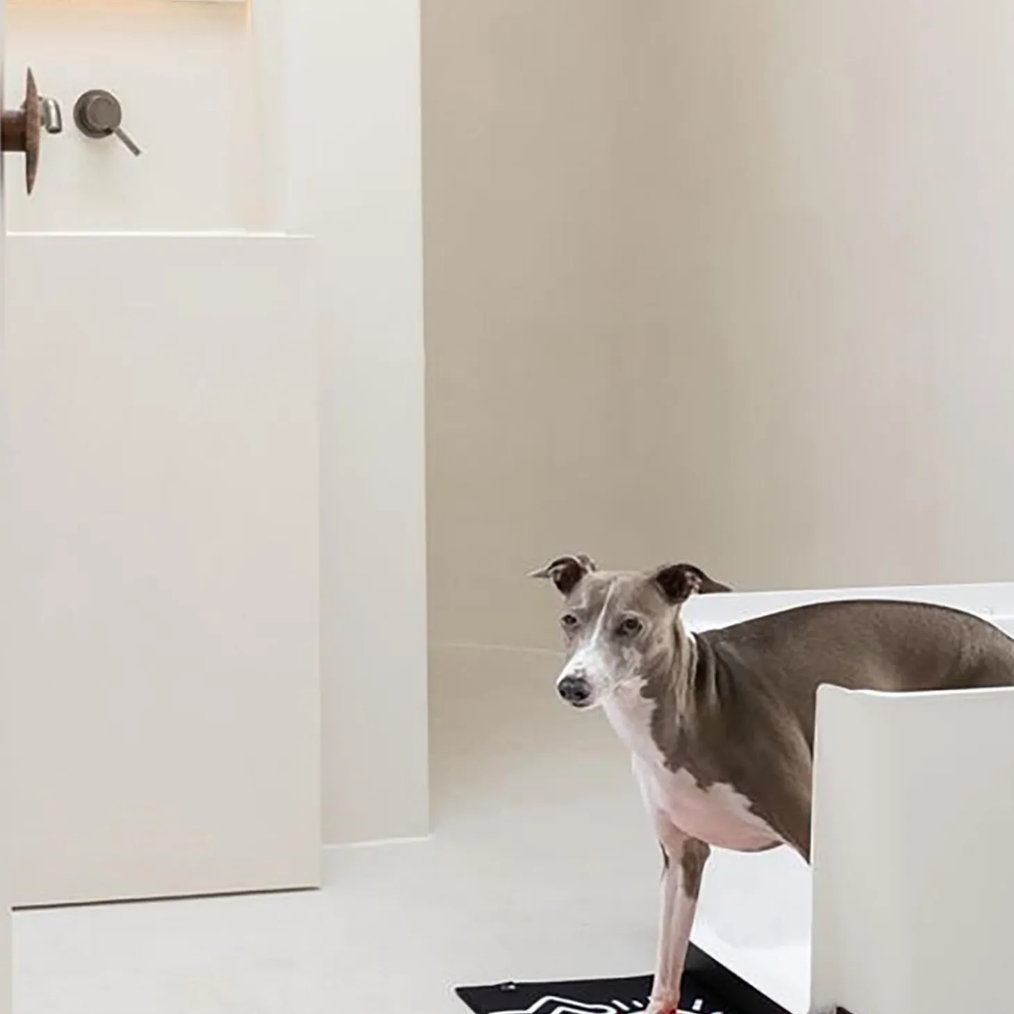 Special Edition DoggyBathroom x Keith Haring Starter Kit, Black