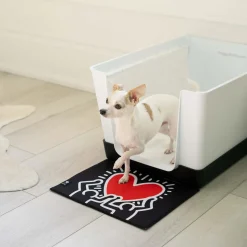 Special Edition DoggyBathroom x Keith Haring Starter Kit, Black