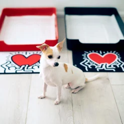 Special Edition DoggyBathroom x Keith Haring Starter Kit, Black