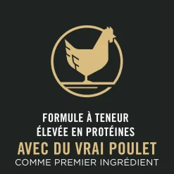 Specialized Calm & Balanced Chicken & Rice Formula Dry Dog Food, 2.27 kg