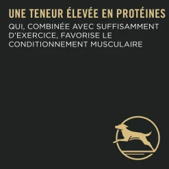 Specialized Large Breed Chicken & Rice Formula Dry Dog Food, 15.4 kg
