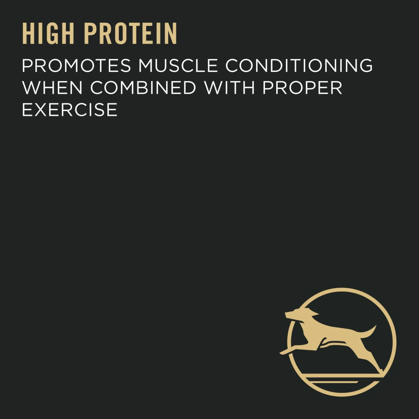 Specialized Large Breed Chicken & Rice Formula Dry Dog Food, 15.4 kg