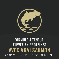 Specialized LiveClear Salmon & Rice Formula, Dry Cat Food 3.18 kg