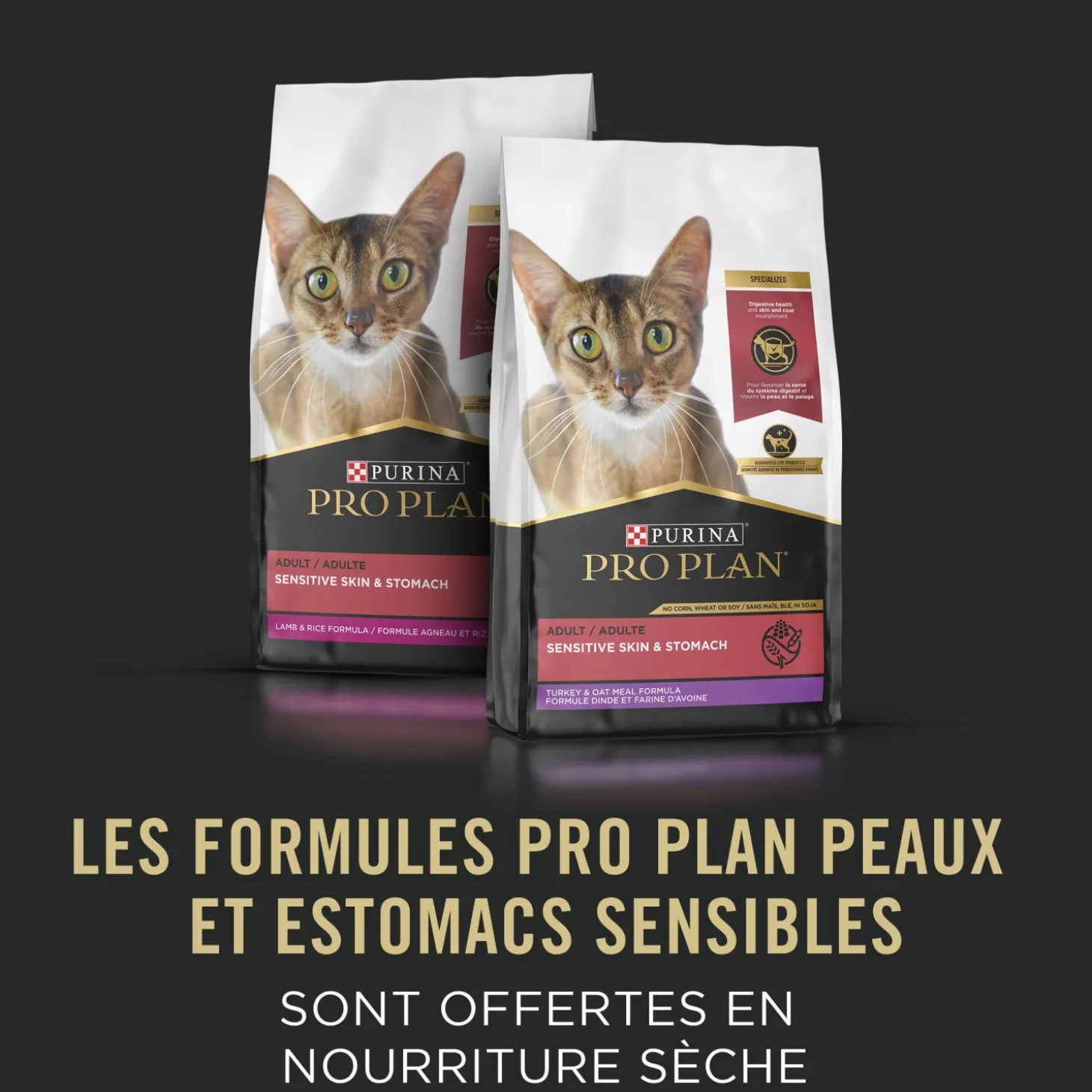 Specialized Sensitive Skin & Stomach Artic Char Entrée for Cats, 85 g
