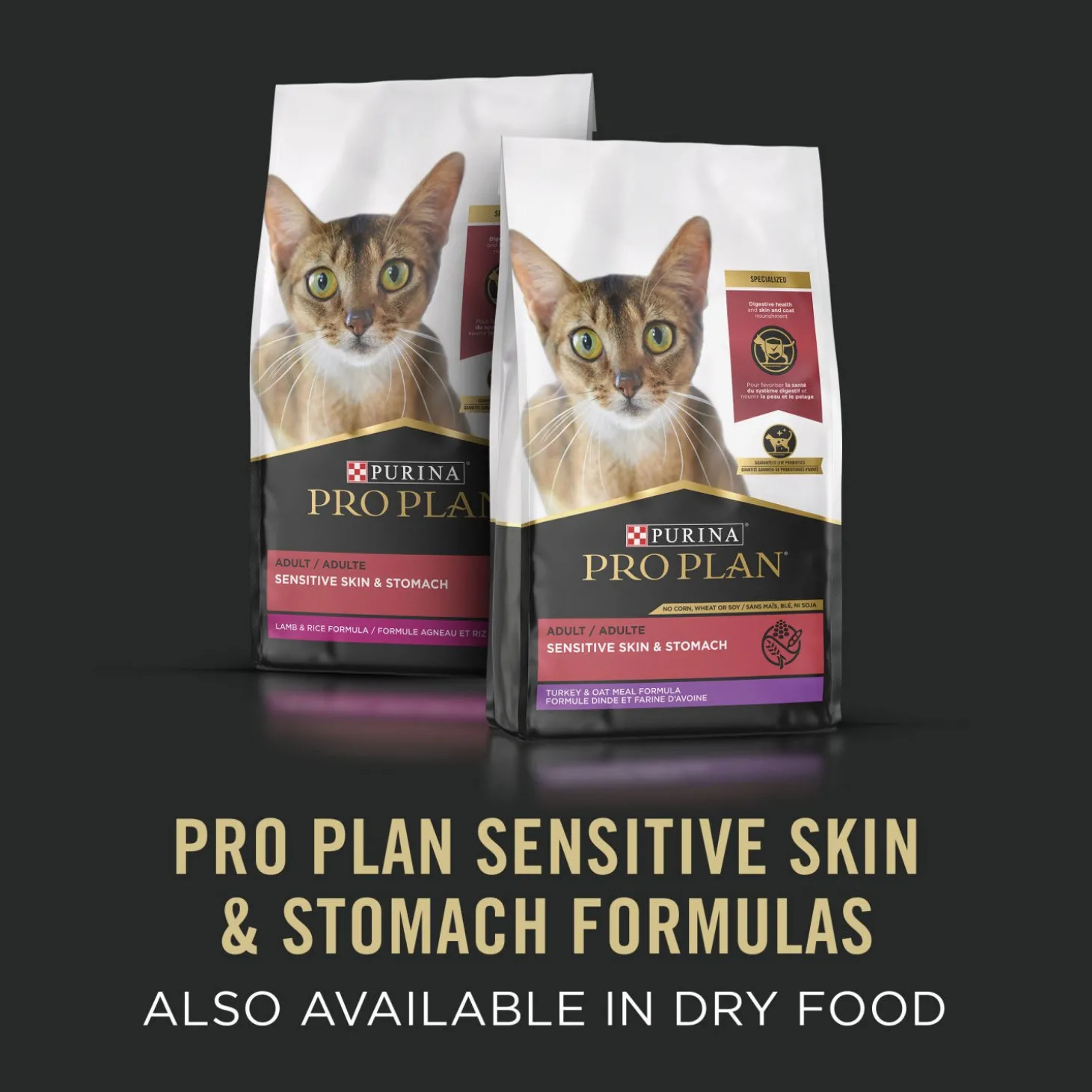 Specialized Sensitive Skin & Stomach Artic Char Entrée for Cats, 85 g