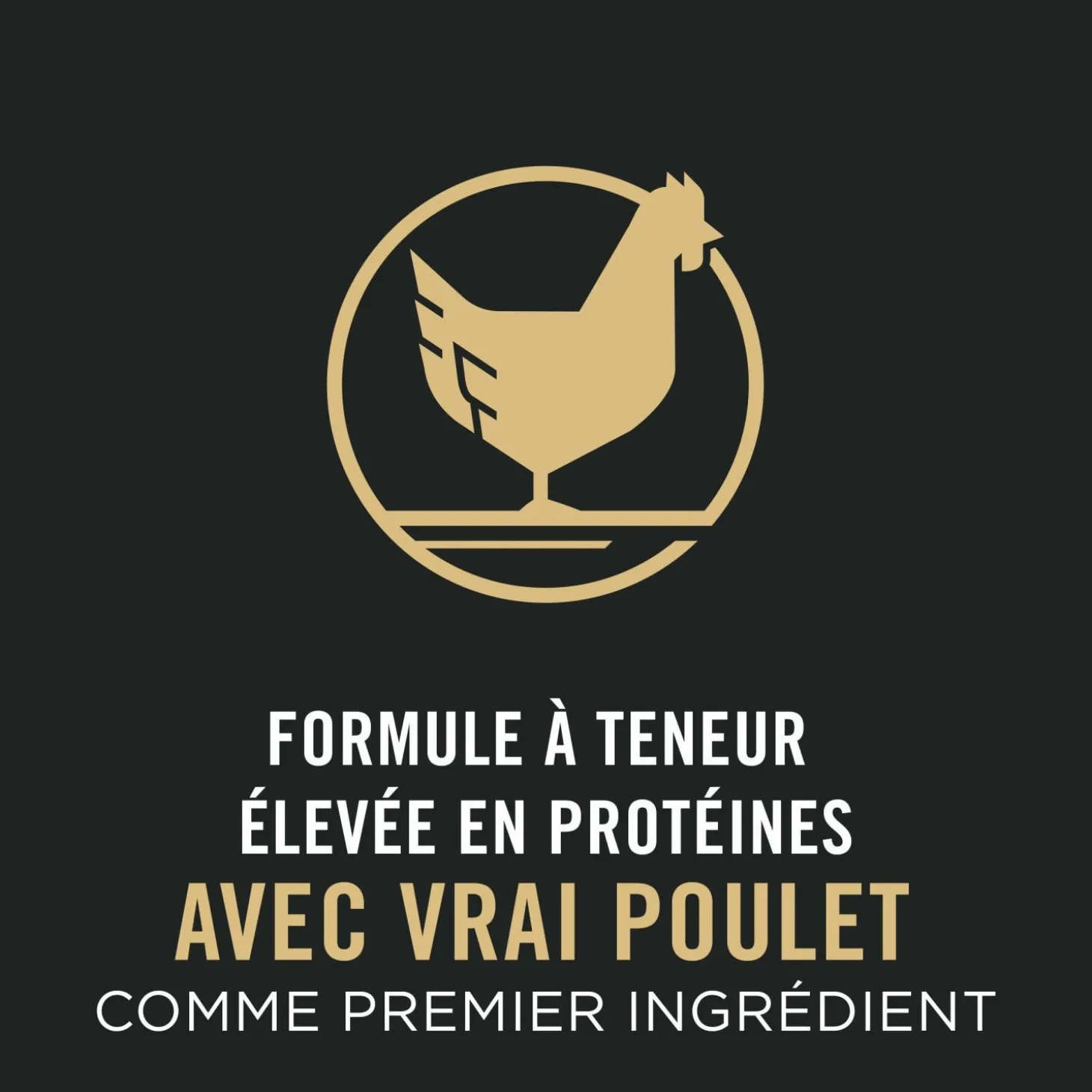 Specialized Small Breed Chicken & Rice Formula Dry Dog Food, 8.16 kg