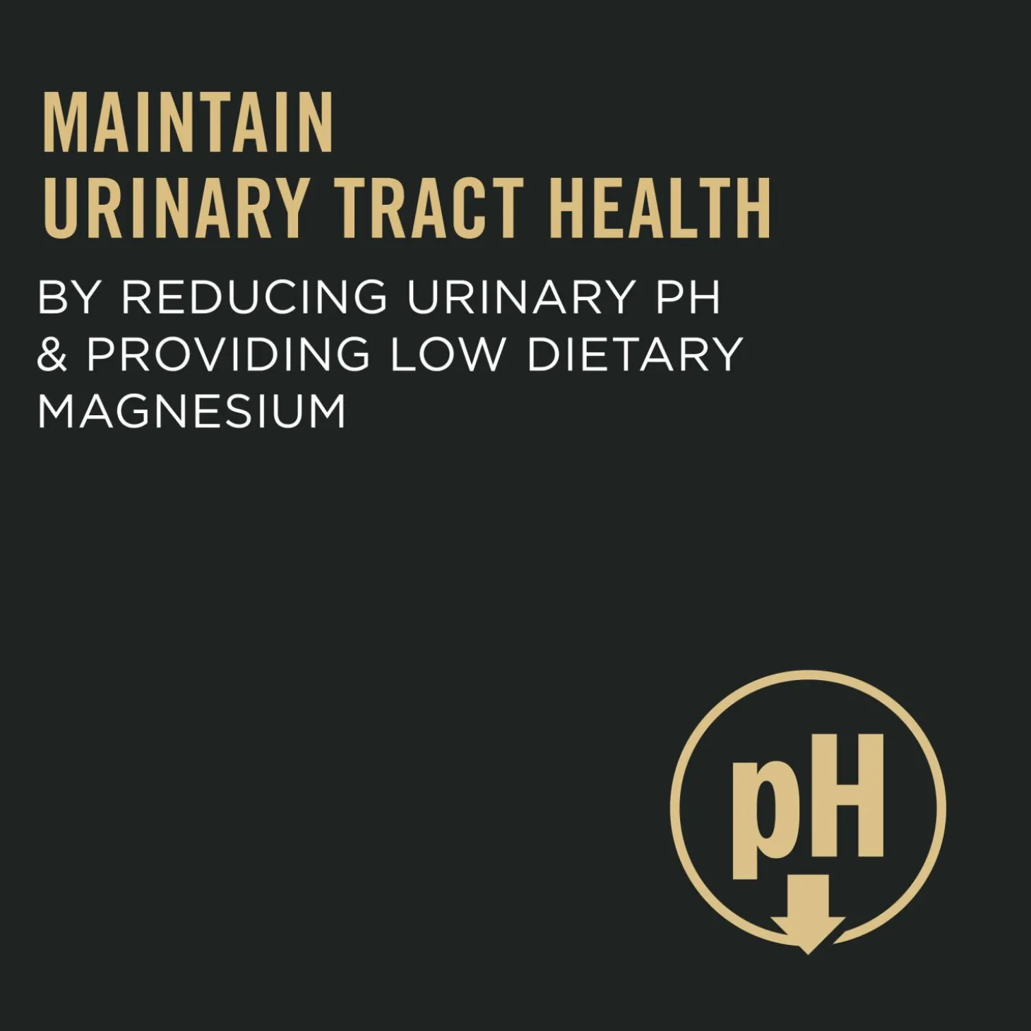 Specialized Urinary Tract Health Chicken & Rice Formula Dry Cat Food, 3.18 kg