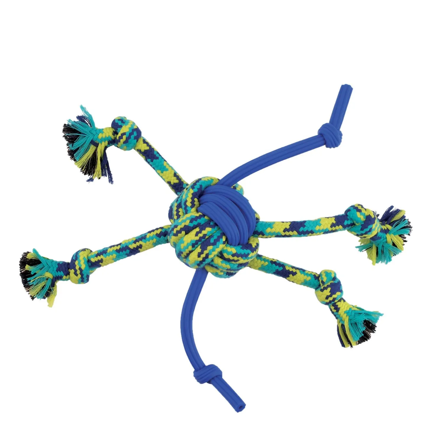 Spider Ball Dog Toy