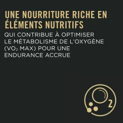 Sport Performance 30/20 Chicken & Rice Formula Dry Dog Food, 17 kg