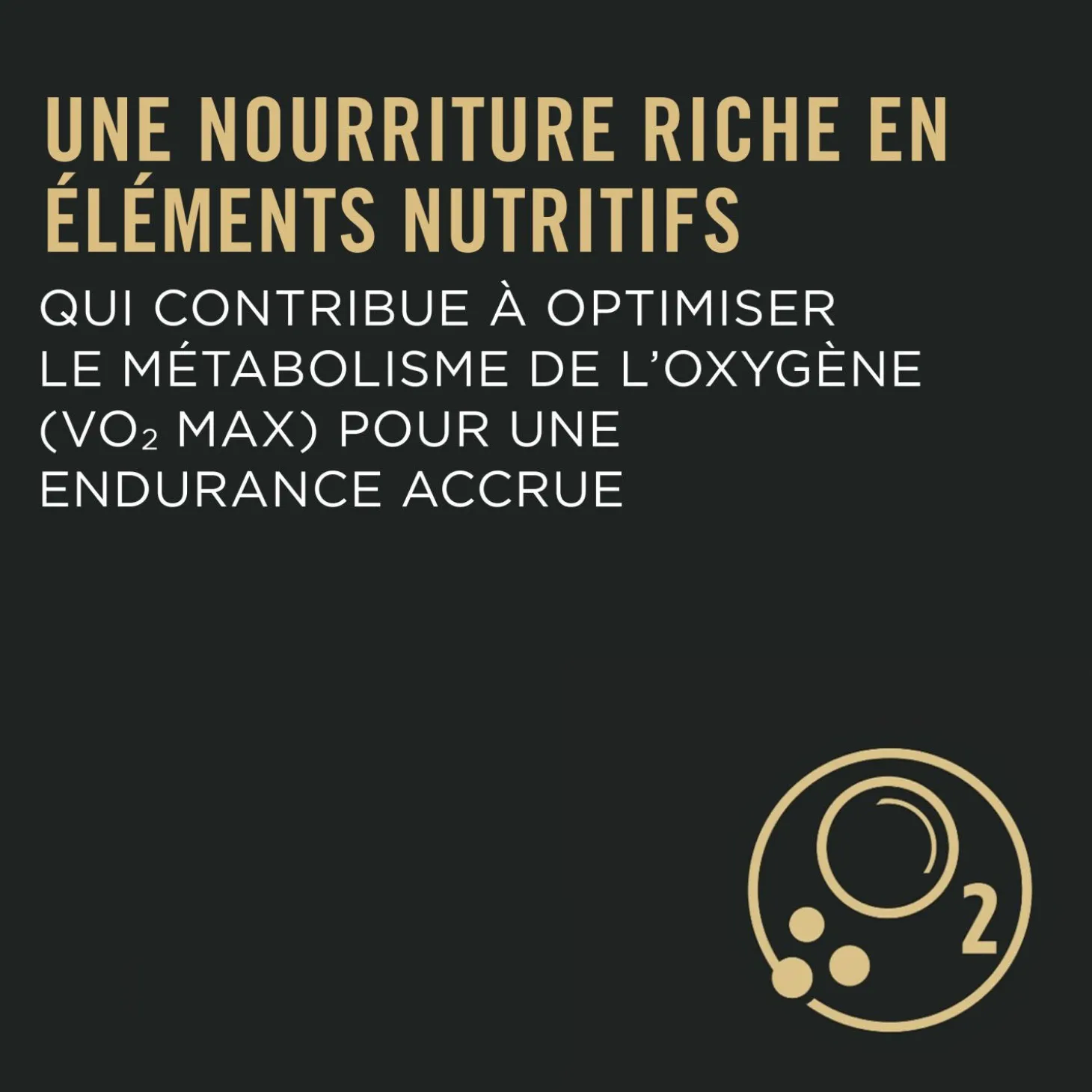 Sport Performance 30/20 Chicken & Rice Formula Dry Dog Food, 17 kg
