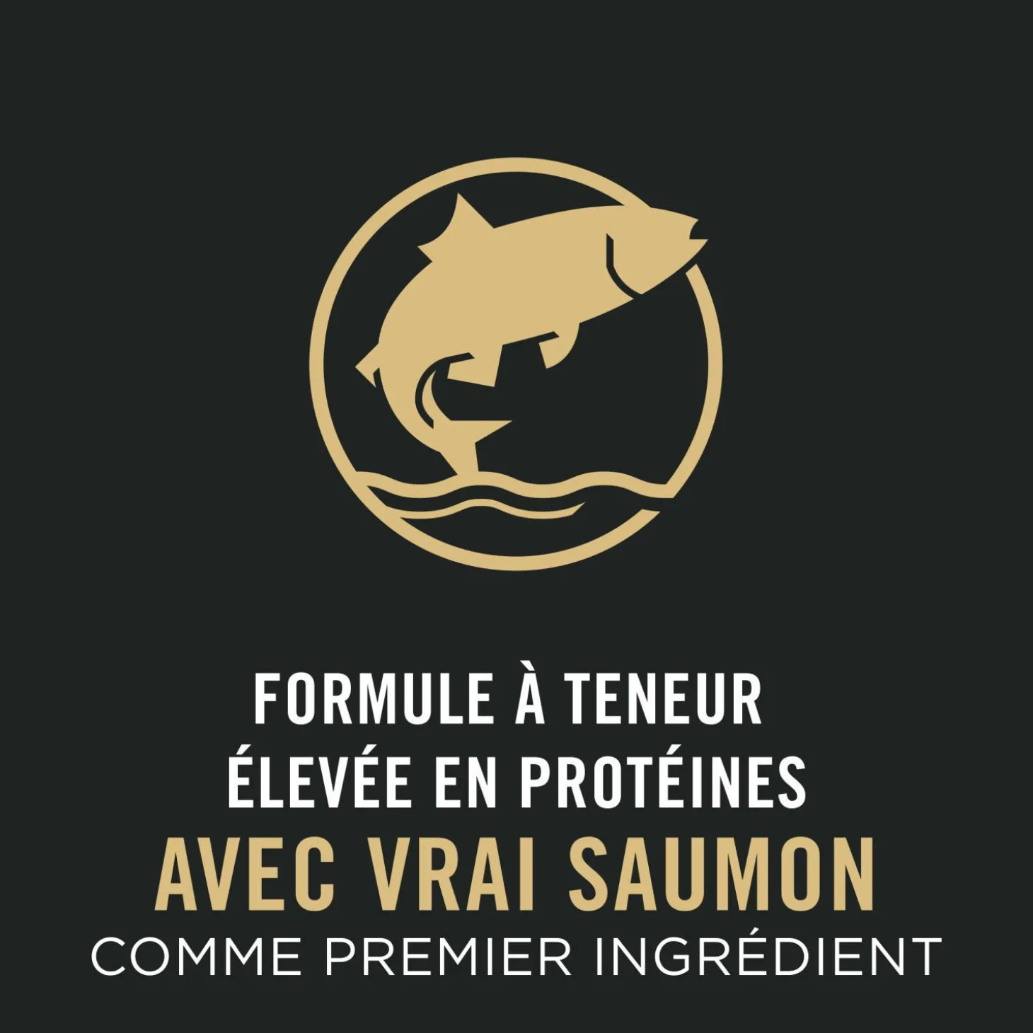 Sport Performance 30/20 Salmon & Rice Formula Dry Dog Food, 15 kg