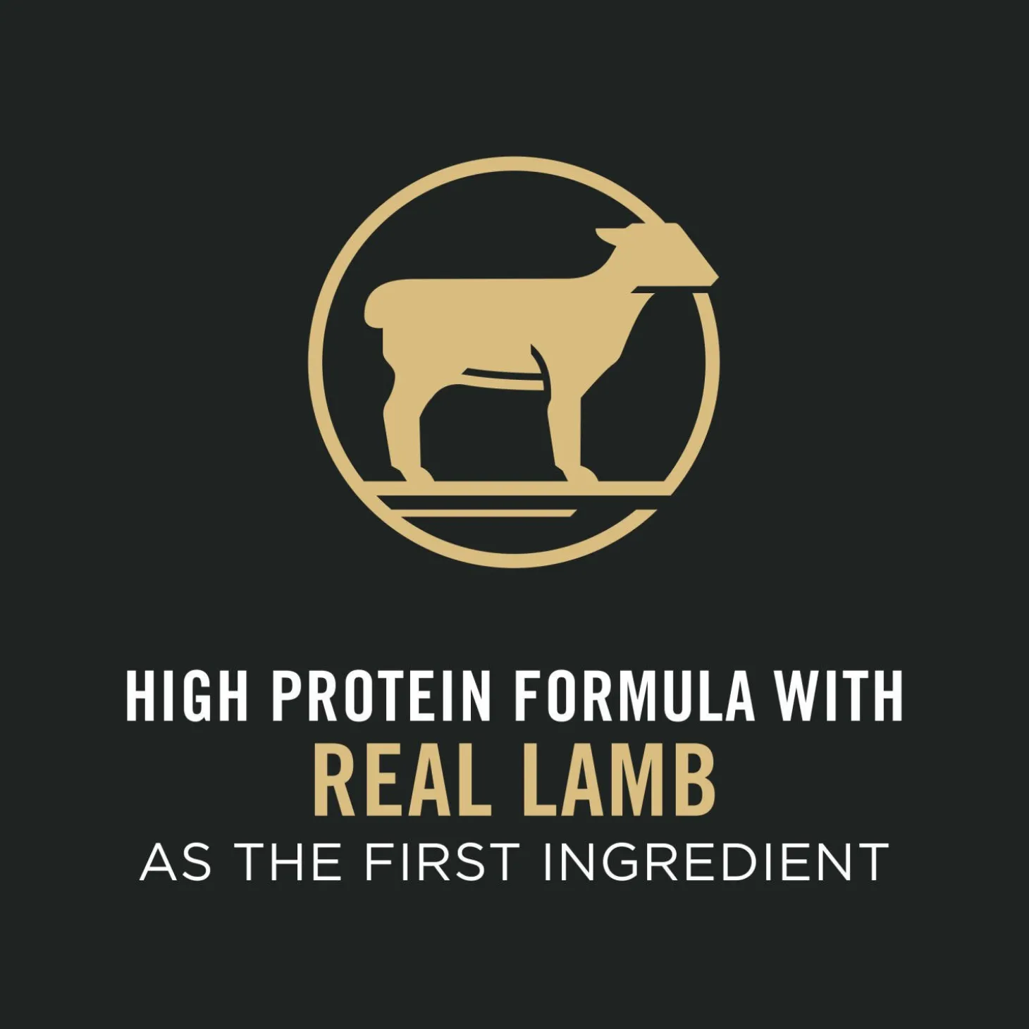 Sport Small Bites 27/17 Lamb and Rice Formula Dry Dog Food, 17 kg