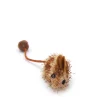 Spotted mouse