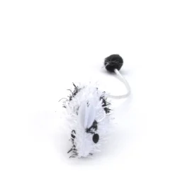 Spotted mouse