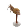 Squeakeeez Cat Toy with Suction Cup