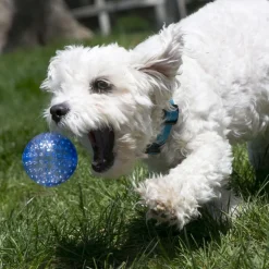 Squeezz® Geodz Balls, Assorted
