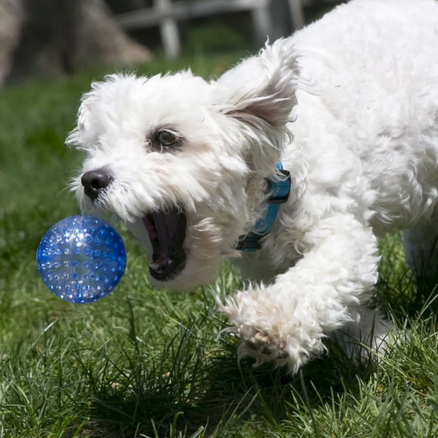 Squeezz® Geodz Balls, Assorted