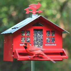 Squirrel Be Gone II Country House with Weathervane