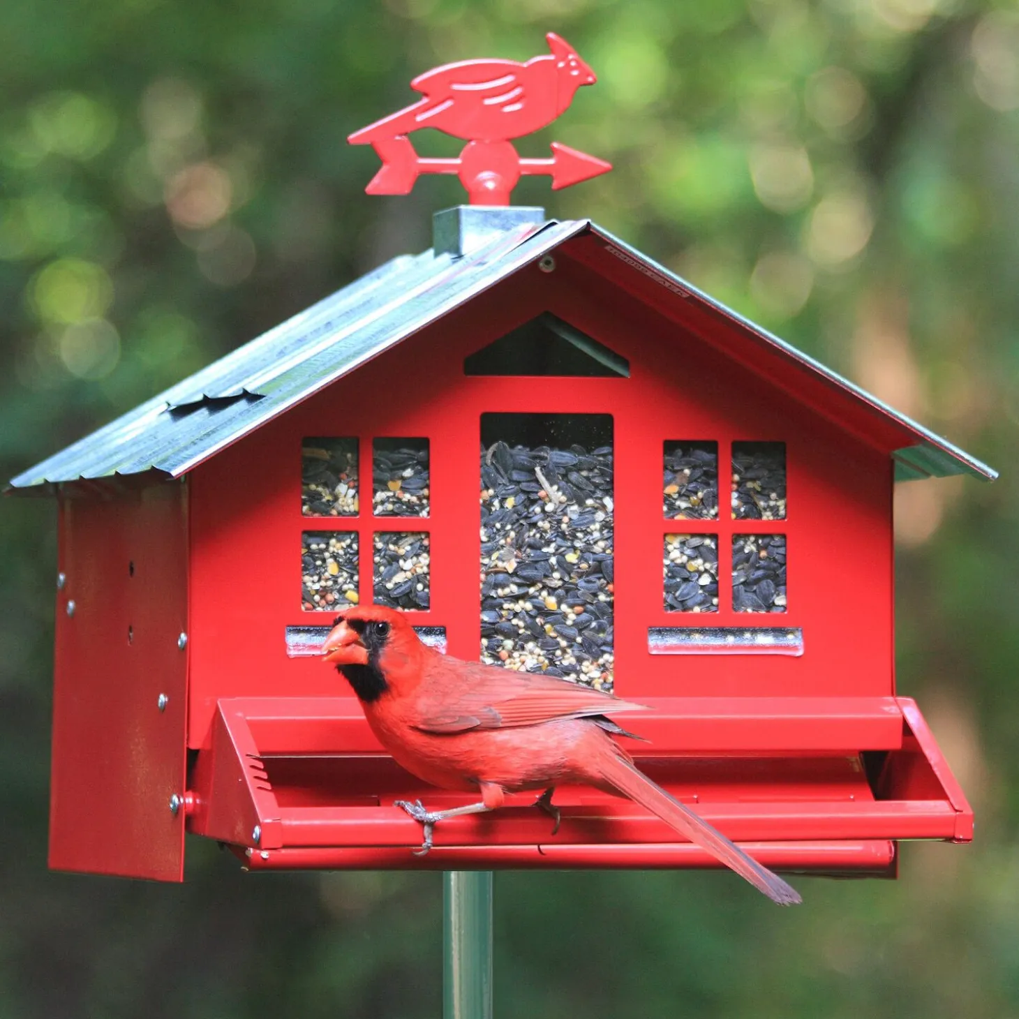Squirrel Be Gone II Country House with Weathervane