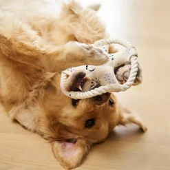 Starfish Rope Toy for Dogs