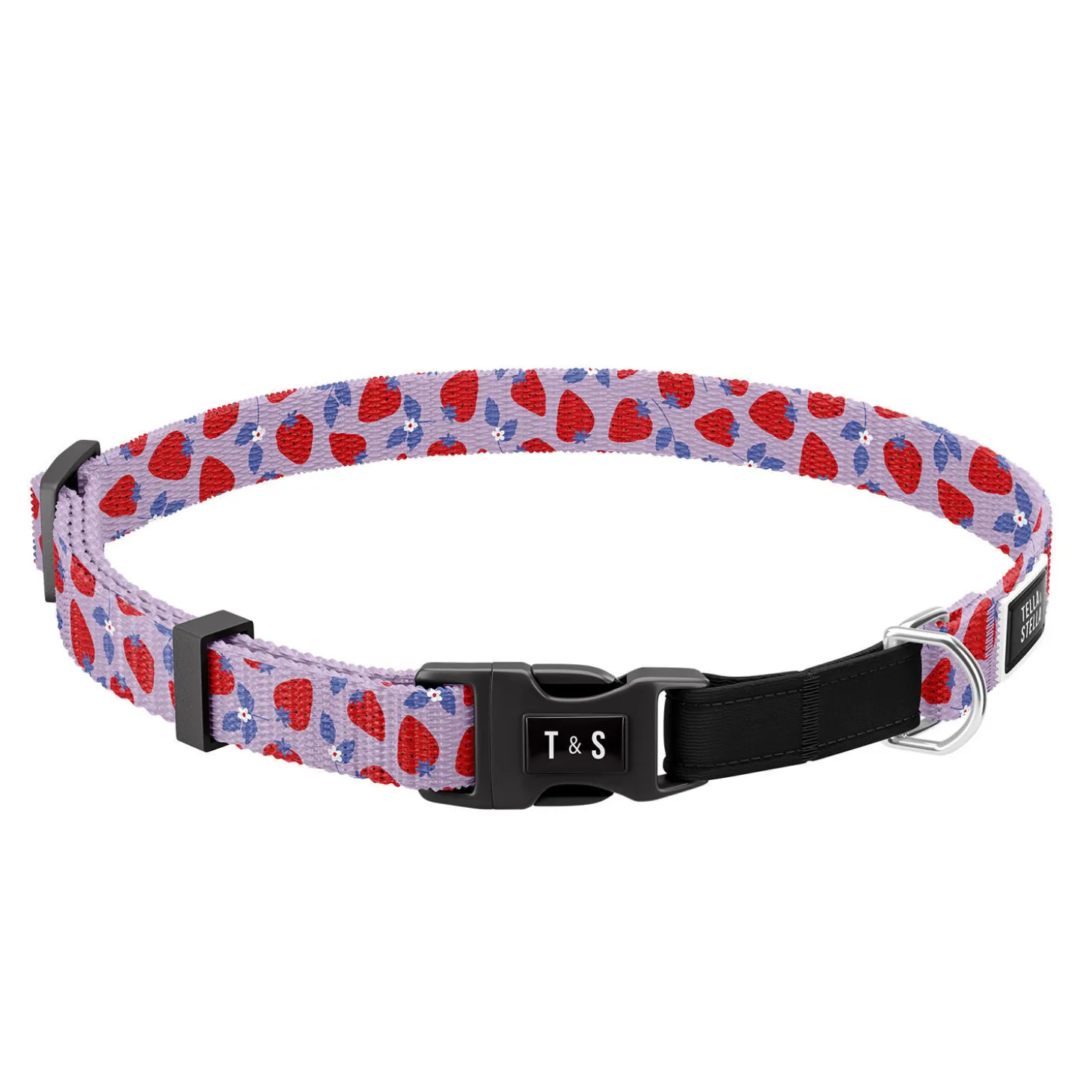Strawberry Field Adjustable Cat Collar