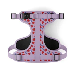 Strawberry Field Adjustable Dog Harness