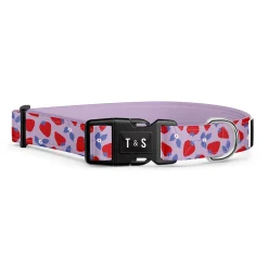 Strawberry Field Adjustable Dog Collar