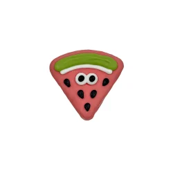 Summer BBQ Sweetest Melon Cookie for Dogs